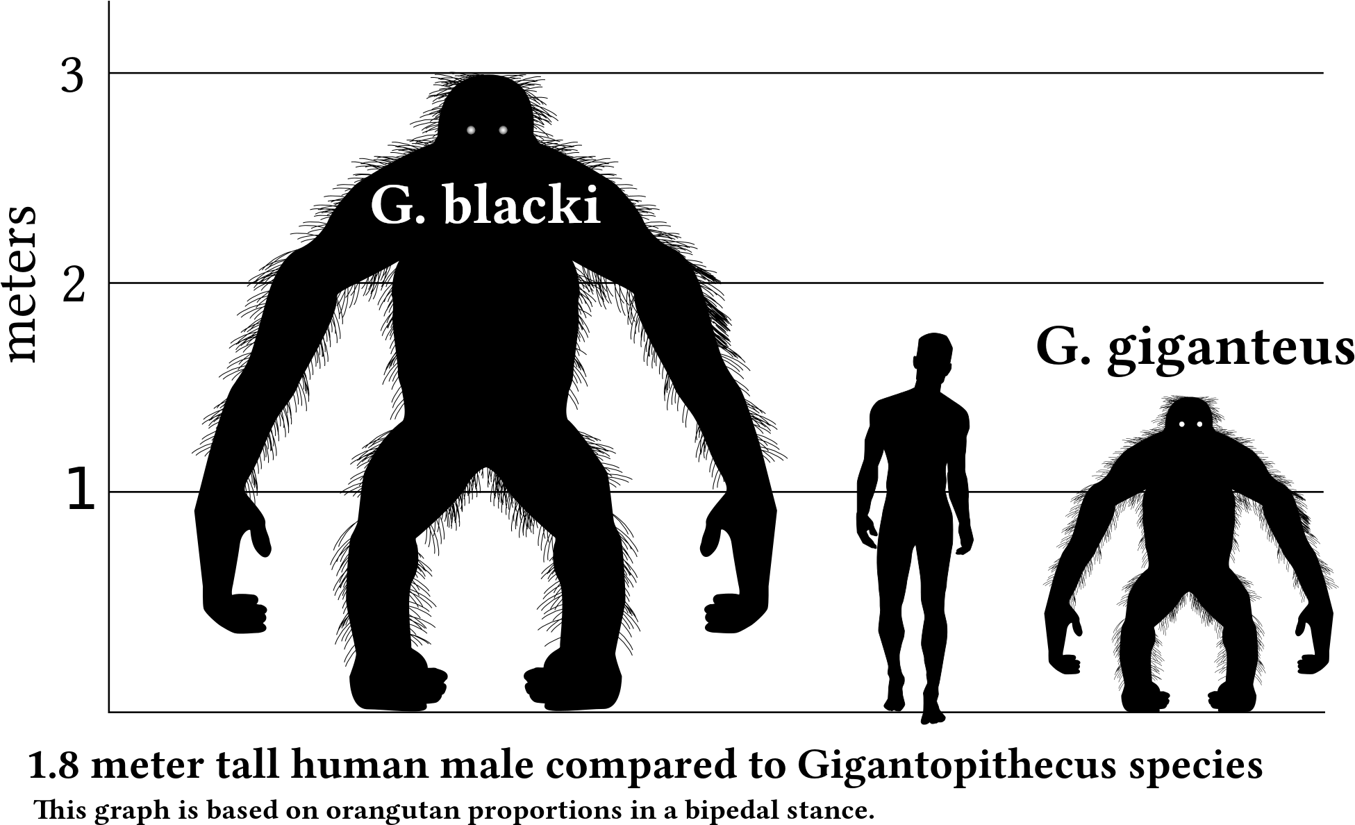 Ancient Ape Gigantopithecus Proves King Kong Cant Exist - Gigantopithecus Vs Human (2000x1241), Png Download