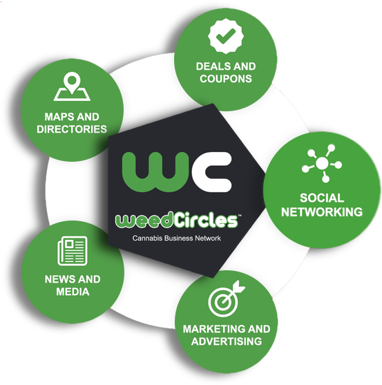 Circle (613x572), Png Download