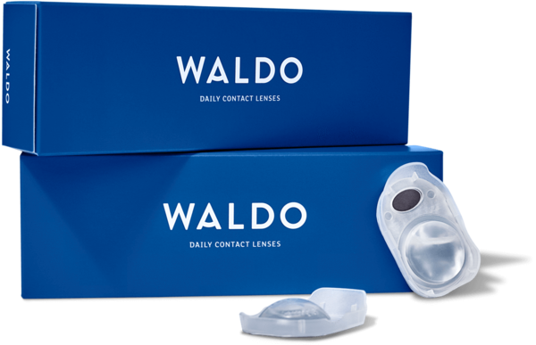 Waldo Daily Contact Lenses - Waldo Products (600x387), Png Download