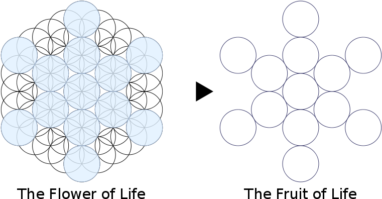 Fuit Of Life Stages 61 Circles To 13 - Fruit Of Life Svg (800x416), Png Download