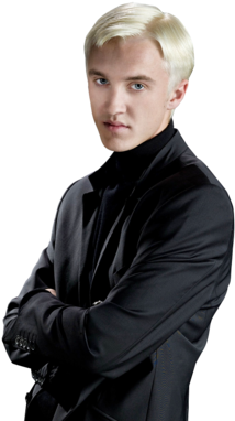 Warner Bros - Harry Potter Draco Png (330x412), Png Download