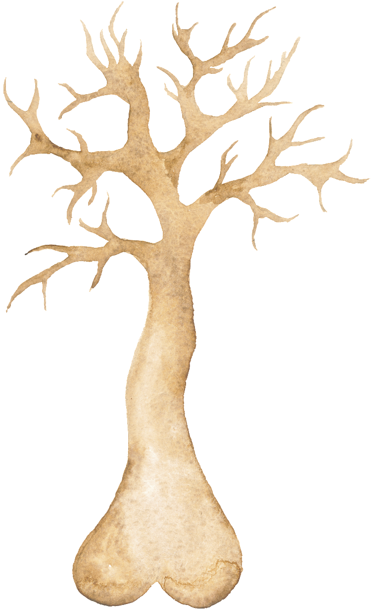 Png Transparente De Arboles Ornamentales - Tree (1024x1280), Png Download