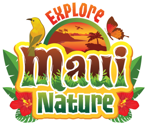 Maui Birding (600x480), Png Download