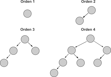 Arbolfibo - Orden De Un Arbol (471x329), Png Download
