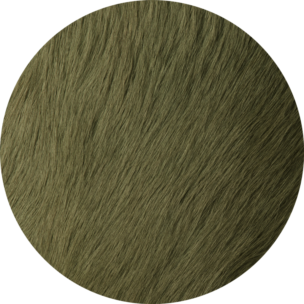 Moss (1024x1024), Png Download