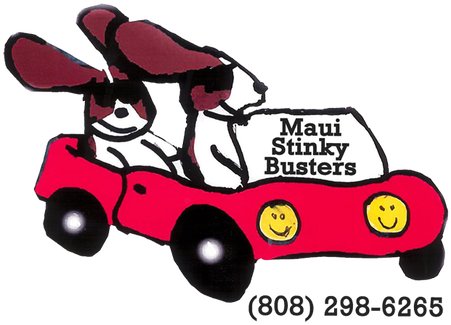 Maui Stinky Busters (483x363), Png Download