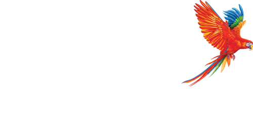 100% Authentic Maui Jim - Macaw (500x260), Png Download