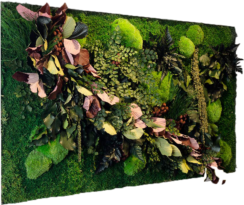 Primavera 50×150 Cm - Moss Trend (1200x795), Png Download