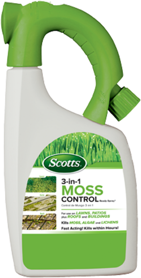 Prevnext - Moss Spray (519x1000), Png Download