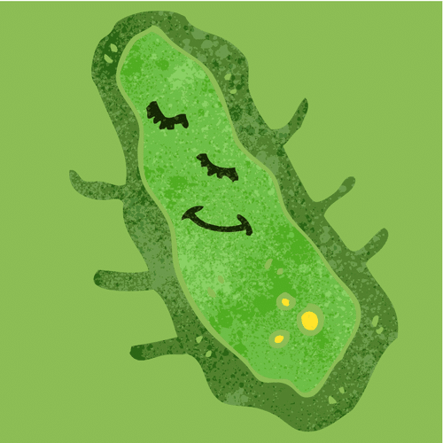 Moss - 0shares - Germ (500x500), Png Download