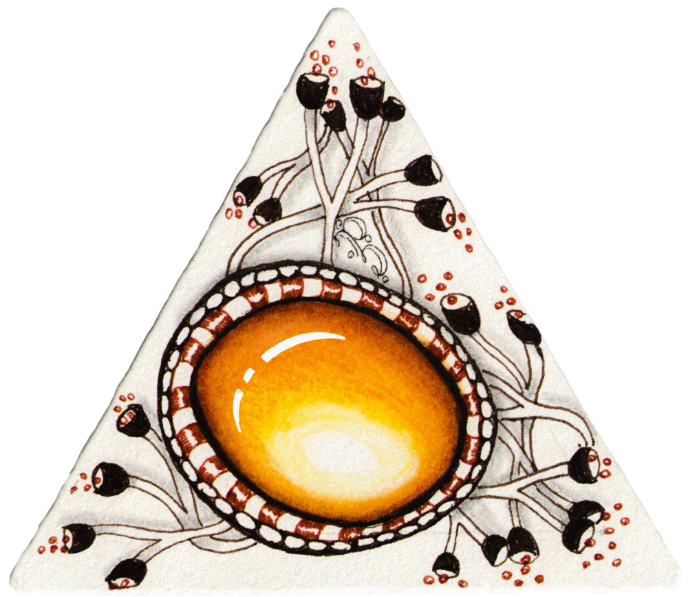 Diva Challenge - Circle (1000x868), Png Download