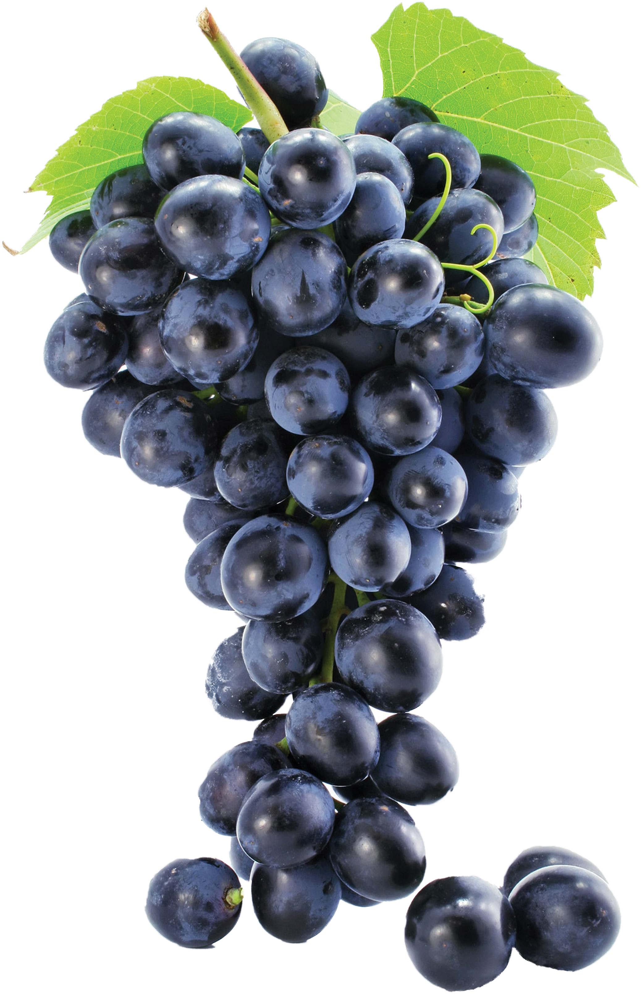 Grapes Png (2536x3462), Png Download