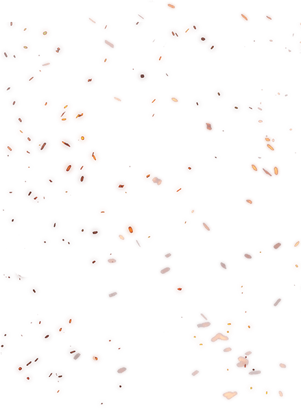 Buy On Kinguin Cod Vector Royalty Free Download - Parallel (1600x600), Png Download