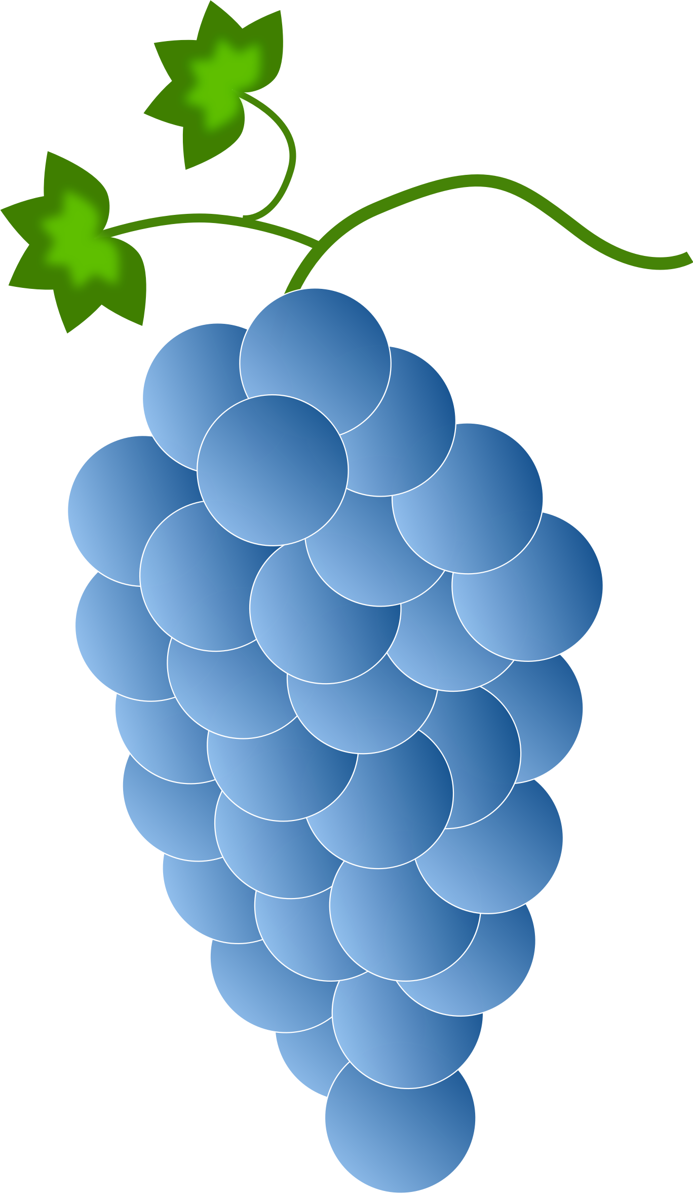 Big Image Png - Blue Grapes Clipart (1368x2356), Png Download