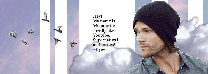 Image - Tumblr (700x250), Png Download