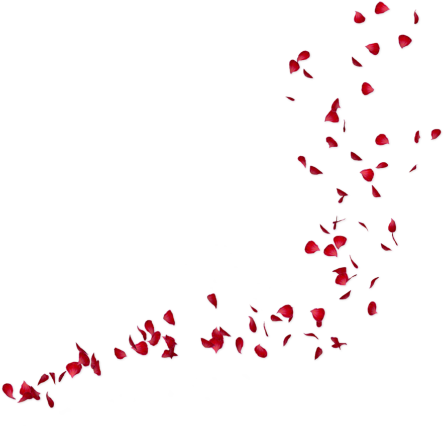 Pink Petals Png Svg Black And White Library - Rose Petals (907x880), Png Download