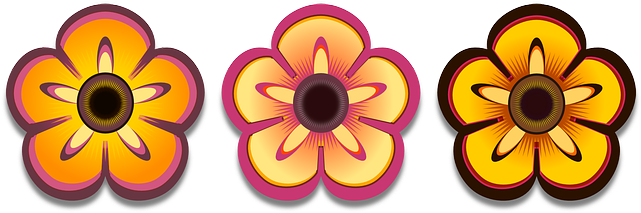 Bloom, Colorful, Flower, Petals, Plant - Surfboard Flower (640x320), Png Download