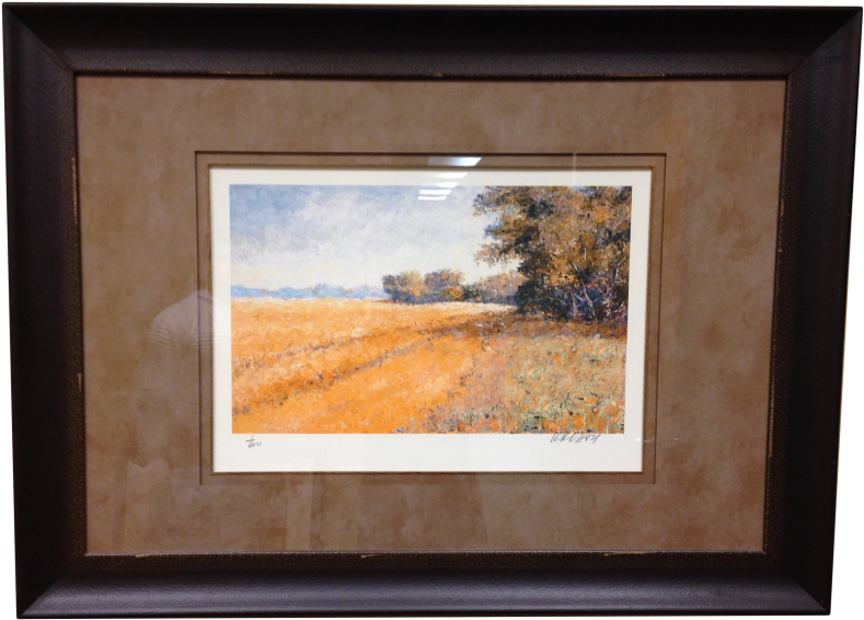 Garrs Field - Picture Frame (1024x768), Png Download