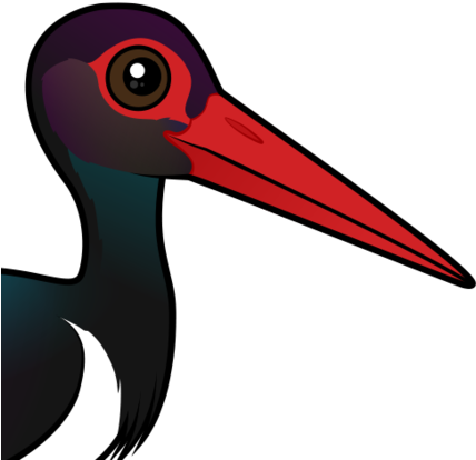 About The Black Stork - Black Stork (440x440), Png Download