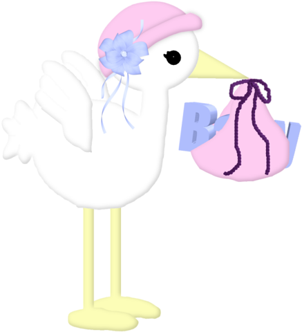 Cfs Babyboom Png Bebes Pinterest And Album - Portable Network Graphics (462x500), Png Download