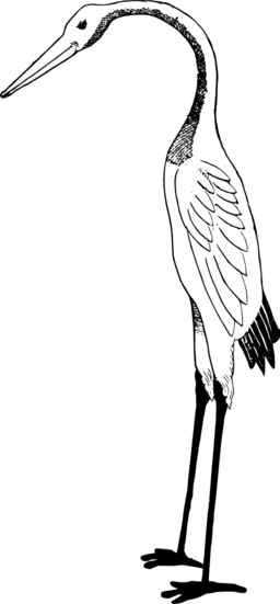 Stork - Stork Clipart White And Black (256x551), Png Download