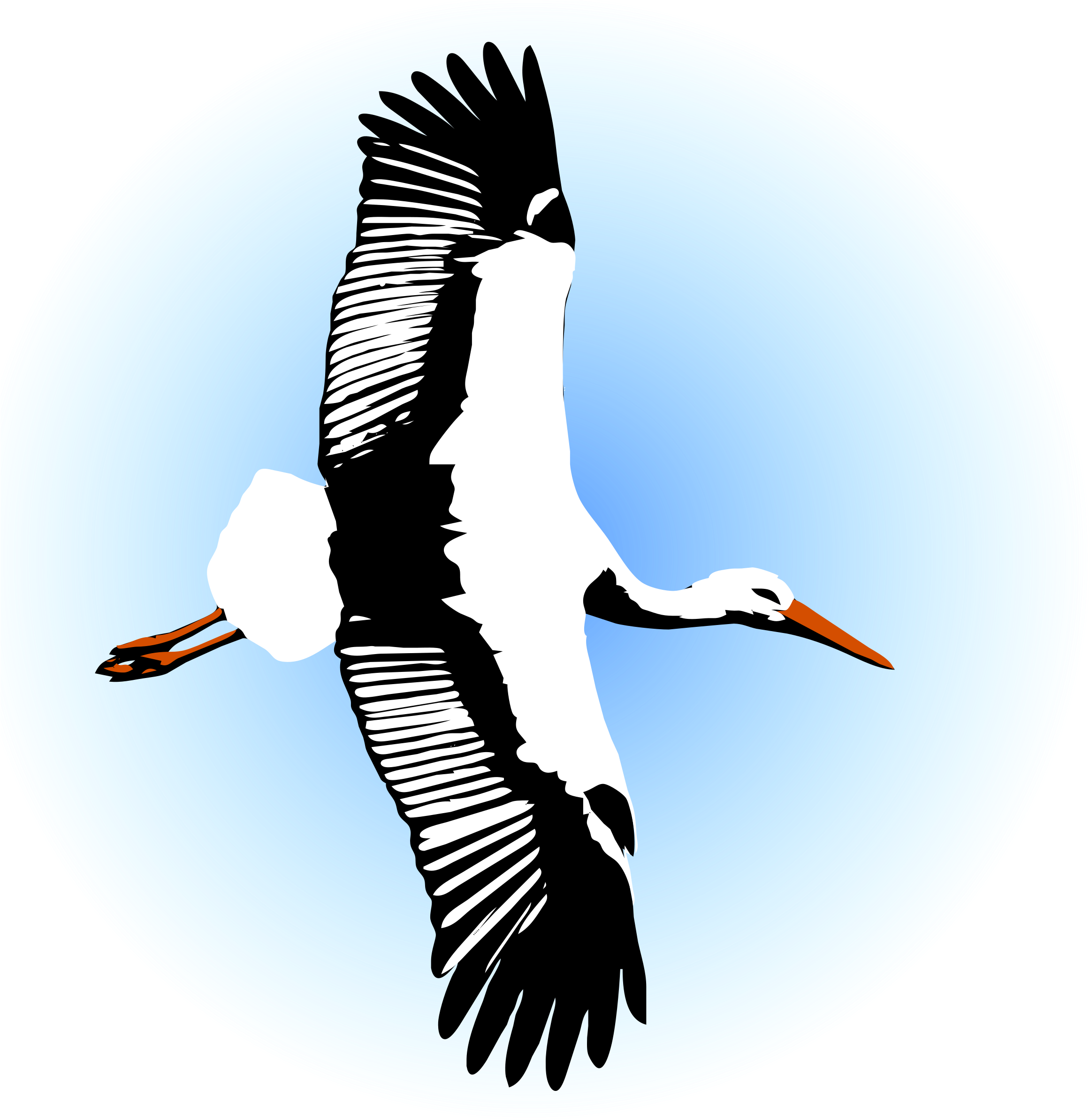 Big Image - Portable Network Graphics (2392x2400), Png Download