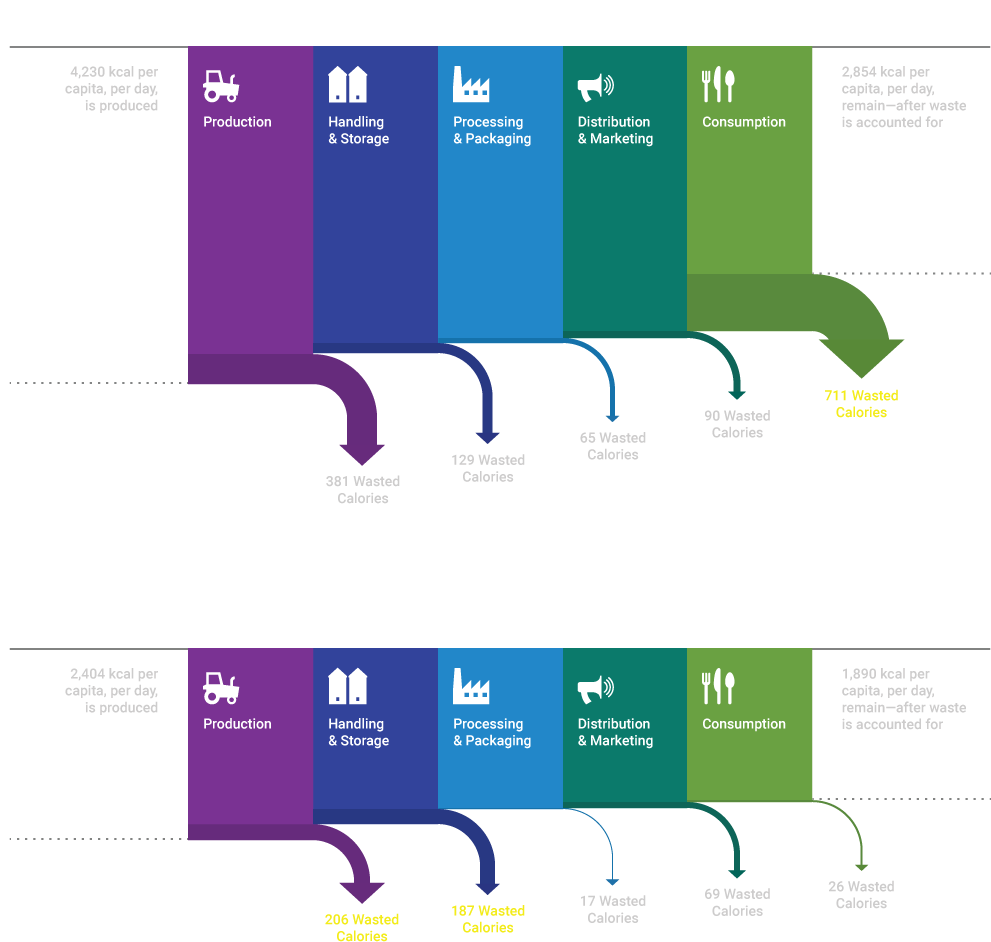 Two Stories Of Food Waste - Graphic Design (1000x944), Png Download