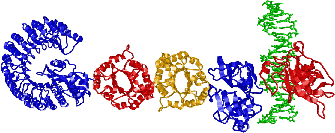 Google-doodle (1127x460), Png Download