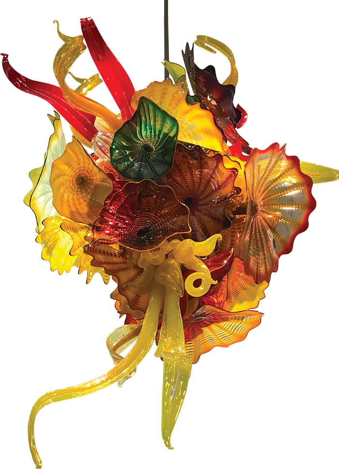 Springfield Art Museum Chihuly Chandelier - Chihuly Drawing (700x967), Png Download