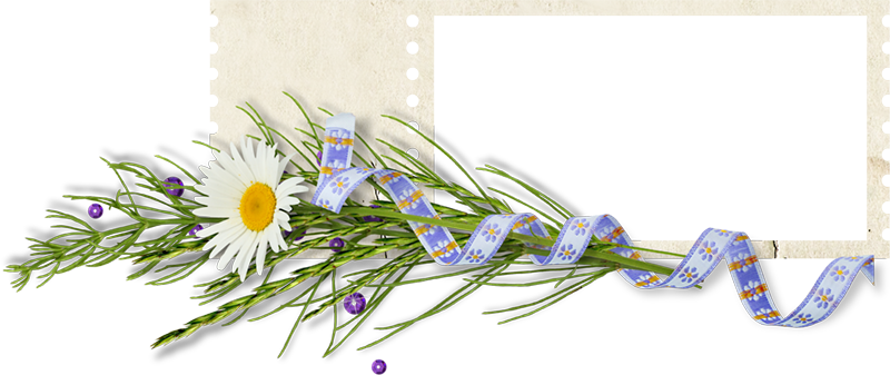 View Full Size - Anastasia Name Gif (800x337), Png Download