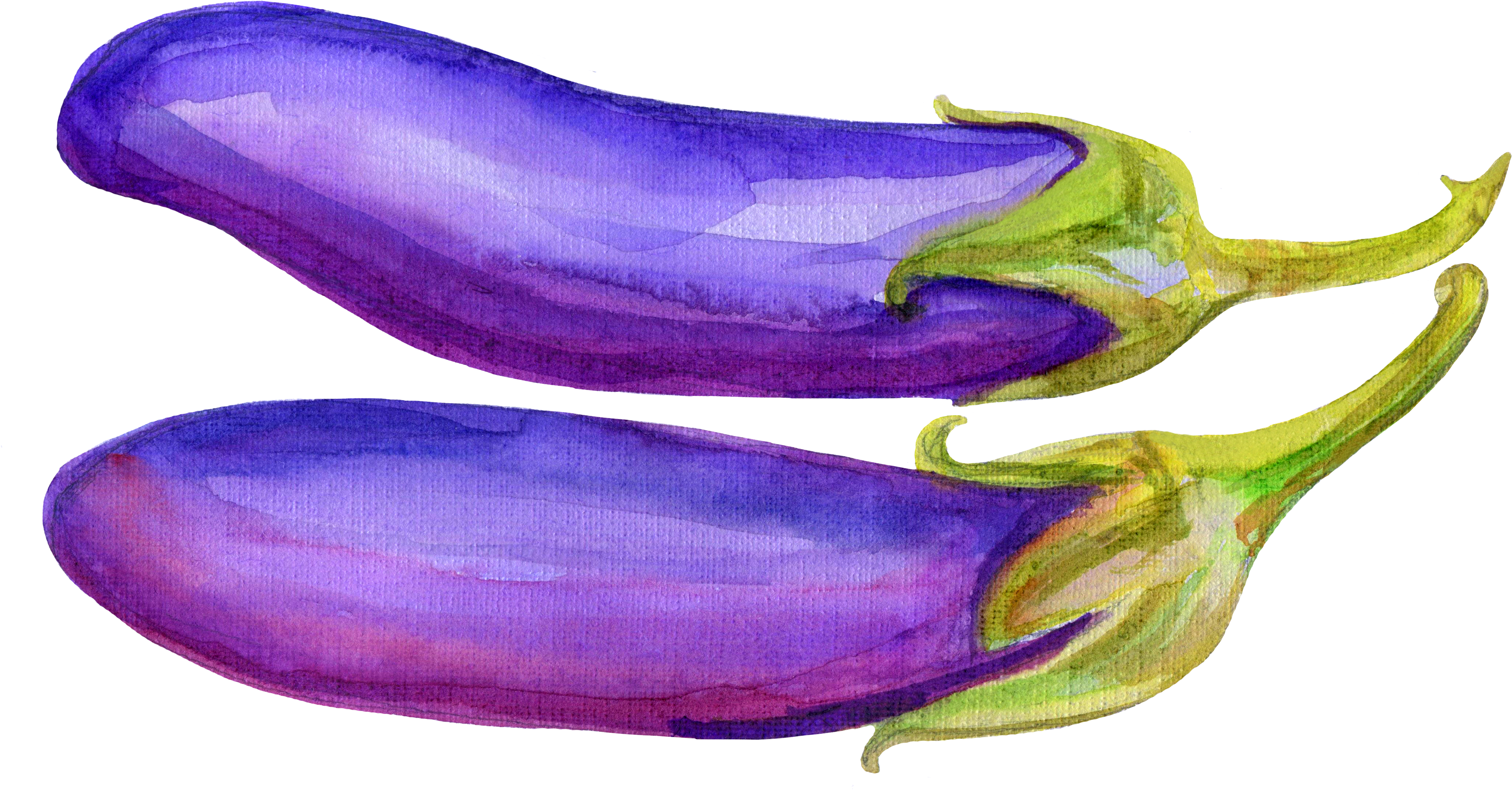 Svg Freeuse Library Vegetable Illustration Hand Painted - Eggplant (5000x5000), Png Download