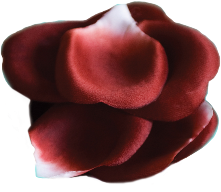 Bijoux Indiscrets Rose Petal Explosion (1400x1400), Png Download