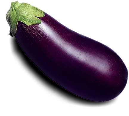 Eggplant - Eggplant Transparent (490x490), Png Download