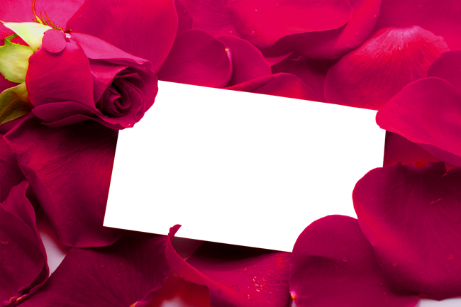 Rose Petals Frames - Guzel Ramazan Bayramı Mesajları (650x433), Png Download