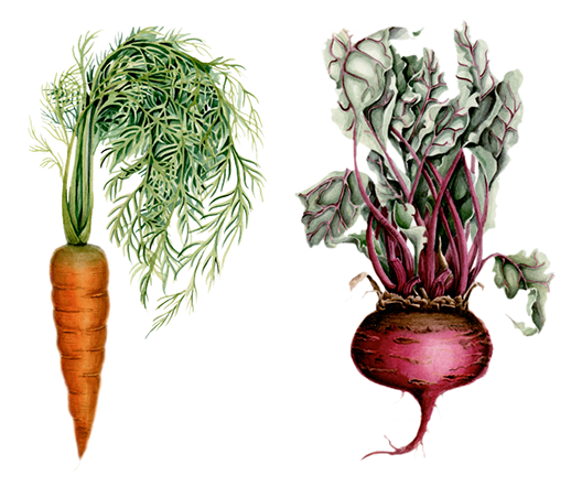 Black And White Stock Illustration For Organic Oasis - Illustration (600x450), Png Download