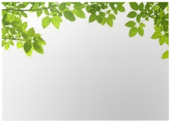 森林 邊框 設計 (400x400), Png Download