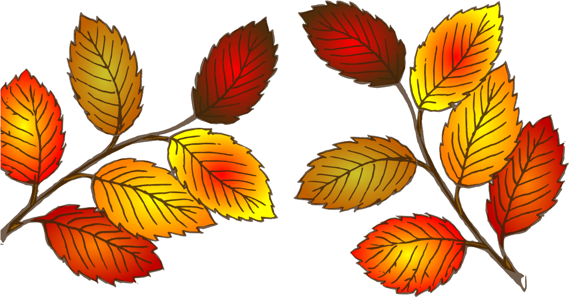 Cartoon Drawing Fall Tree (1144x601), Png Download