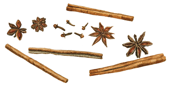 Images Of Sticks Png - Cloves And Star Anise (560x283), Png Download