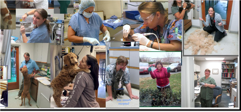 Senior Citizen (942x723), Png Download