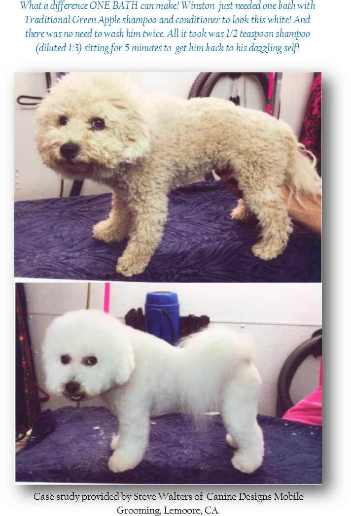 Sw Winston - Iv San Bernard Usa (722x1082), Png Download