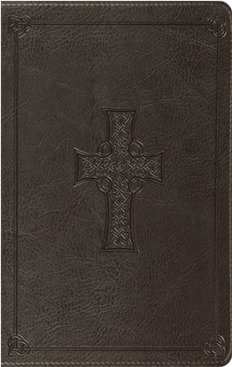 Esv Celtic Cross Thinline Bible - Cross (341x413), Png Download