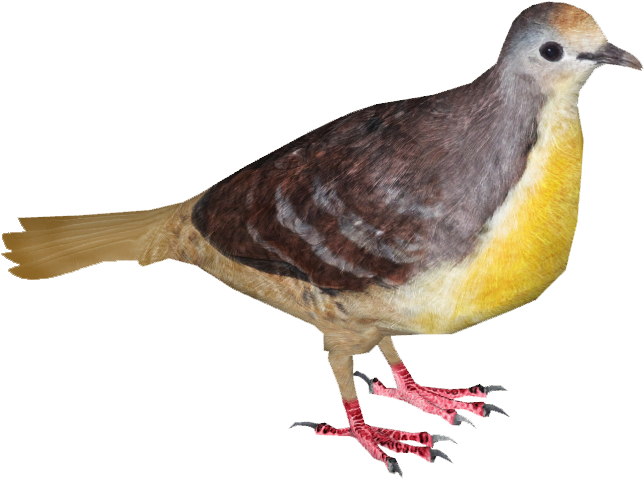 Cinnamon Ground Dove - Stock Dove (643x643), Png Download