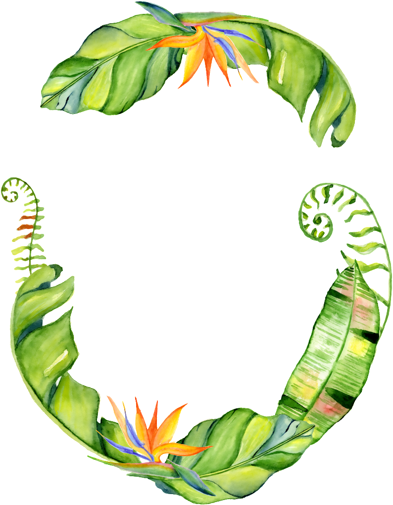 Hand Painted Three Banana Leaf Png Transparent - Tropische Palmblattwreath-brautparty-einladung Karte (1024x1024), Png Download