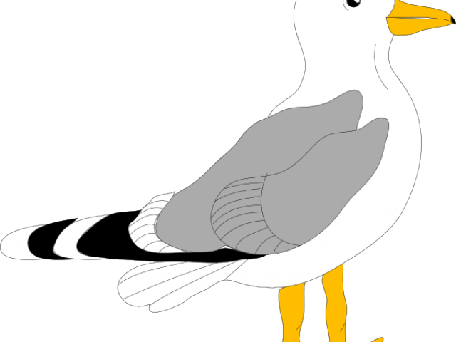 Seagull Clipart Cartoon - Bird Clip Art (640x480), Png Download