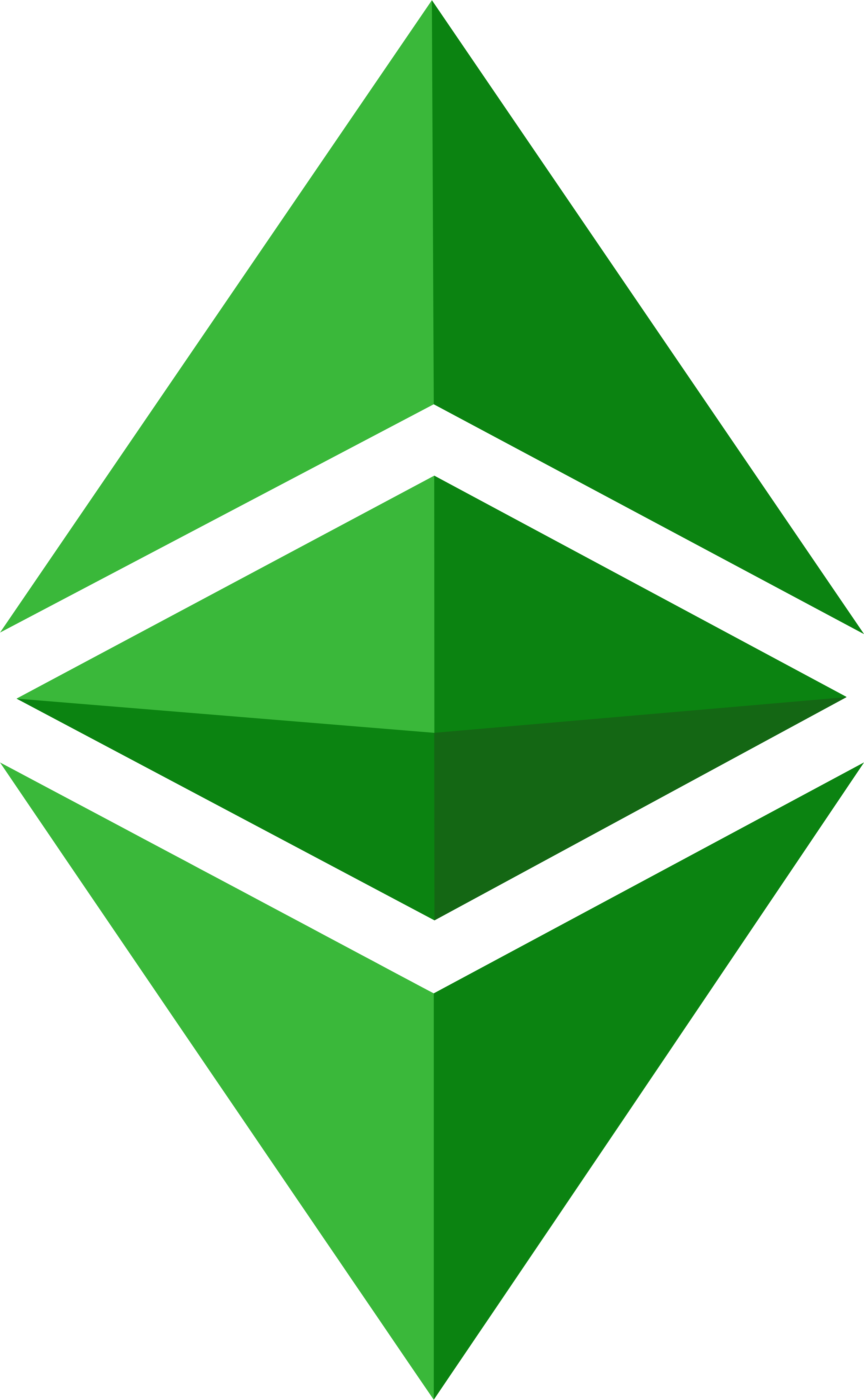 Ethereum Logo Classic - Ethereum Classic Logo Png (3086x5000), Png Download