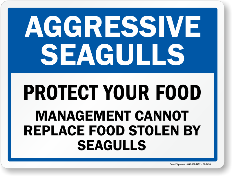 Zoom, Price, Buy - Dont Feed The Seagulls (800x607), Png Download