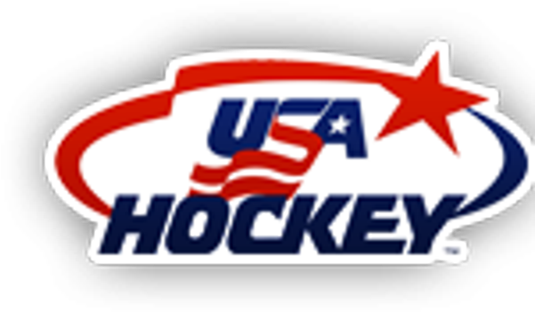 Concussion Information - Team Usa Hockey (600x428), Png Download