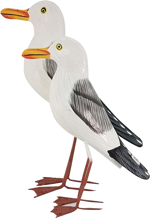 Seagull Large - Great Black-backed Gull (1200x900), Png Download
