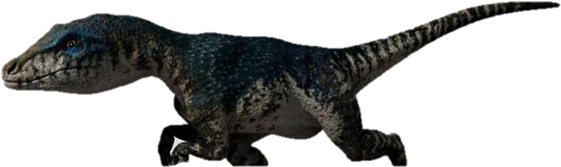 Raptor-model - Raptor Primeval (1123x337), Png Download