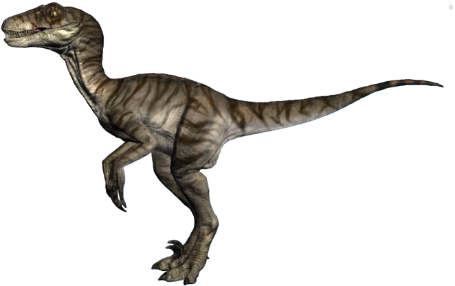 Raptor Dinosaur But Does Not Have The Style That I - Raptor Rider (700x415), Png Download